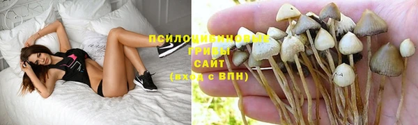 марки nbome Красноперекопск