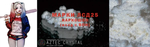 дживик Краснослободск