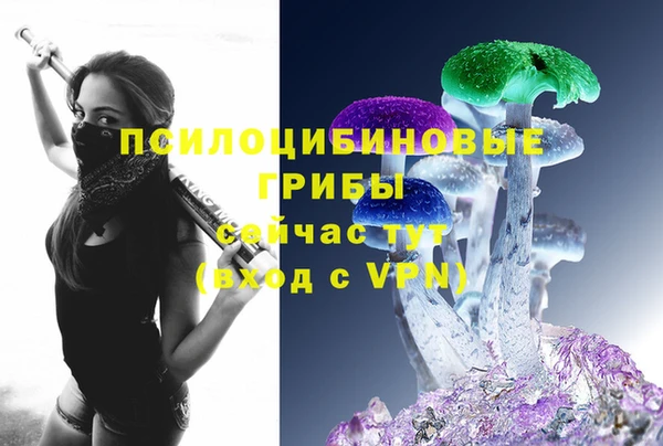 мдпв Коряжма