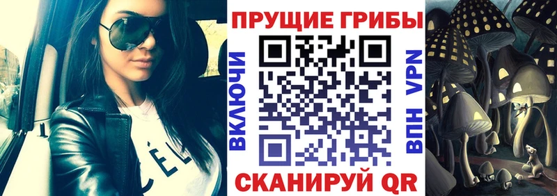 Галлюциногенные грибы Cubensis  Купить где  Михайлов 